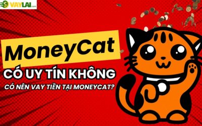 MoneyCat có uy tín không? Có nên vay tiền tại MoneyCat?
