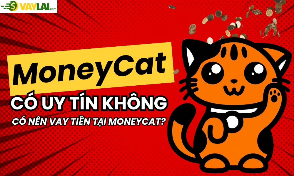 MoneyCat có uy tín không? Có nên vay tiền tại MoneyCat?